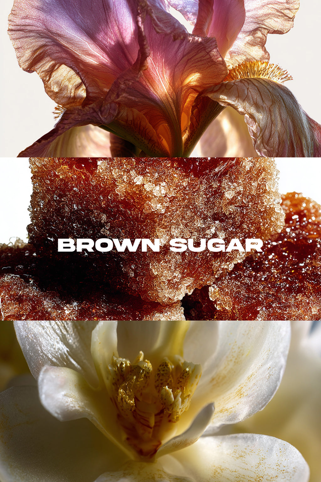 NUAGE PARFUMÉ BROWN SUGAR